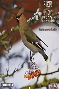 BIRDS IN OUR GARDEN 2020