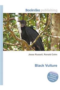 Black Vulture