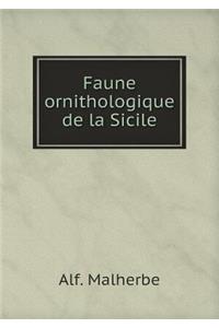 Faune ornithologique de la Sicile