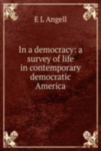 In a democracy: a survey of life in contemporary democratic America