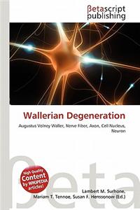 Wallerian Degeneration
