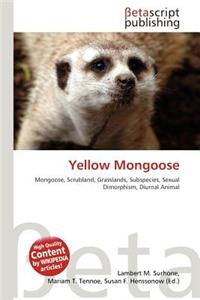 Yellow Mongoose