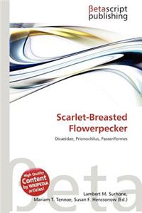 Scarlet-Breasted Flowerpecker