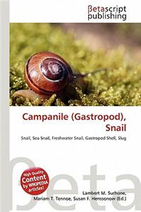 Campanile (Gastropod), Snail