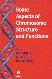 Some Aspects of Chromosome Structure and Functions