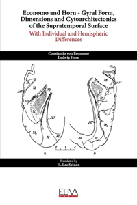 Economo and Horn - Gyral Form, Dimensions and Cytoarchitectonics of the Supratemporal Surface