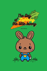 Day of Lightning the little bunny