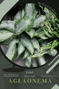 Aglaonema