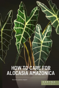 How to Care For Alocasia Amazonica