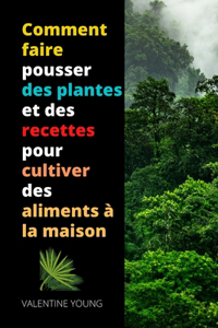 Comment faire pousser des plantes et des recettes pour cultiver des aliments à la maison