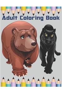 Adult Coloring Book