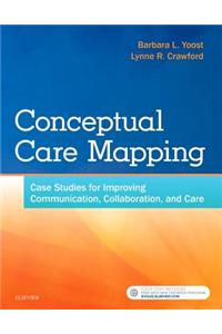 Conceptual Care Mapping