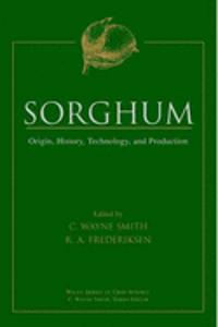 Sorghum