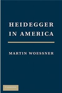 Heidegger in America