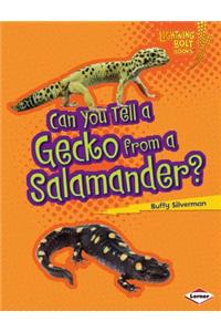 Can You Tell a Gecko from a Salamander?