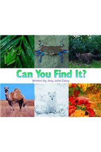 Ready Readers, Stage Zero, Book 22, Can You Find It?, Big Book