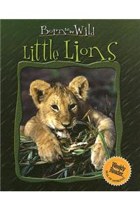 Little Lions