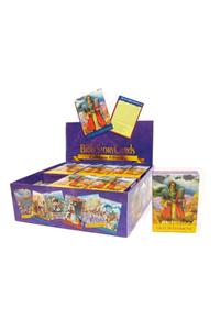 Biblestorycards Display Box New Testament
