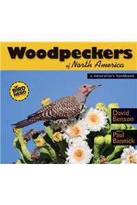 Woodpeckers of North America