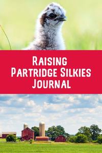 Raising Partridge Silkies Journal