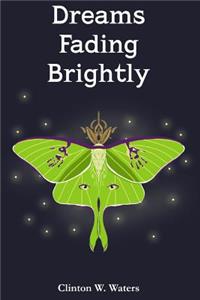 Dreams Fading Brightly