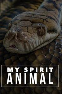 My Spirit Animal