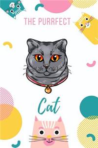 Purrfect Cat
