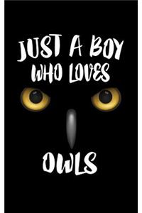 Just A Boy Who Loves Owls