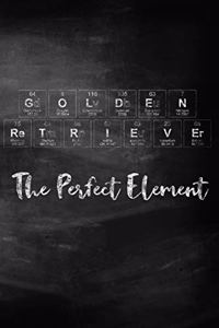 Golden Retriever the Perfect Element
