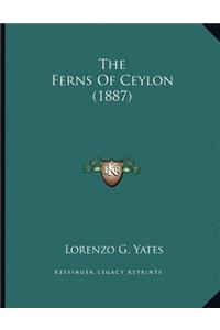 The Ferns Of Ceylon (1887)