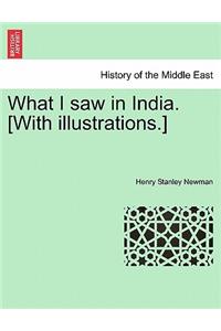 What I Saw in India. [With Illustrations.]