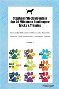Stephens Stock Mountain Cur 20 Milestone Challenges
