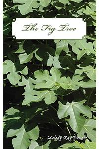 The Fig Tree