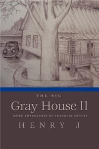 The Big Gray House II