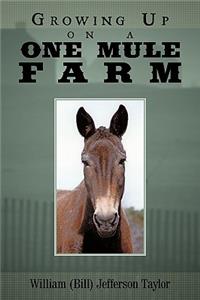 Growing Up on a One Mule Farm
