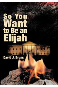 So You Want to Be an Elijah