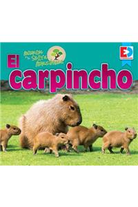 Animales de la Selva Amazónica -- El Carpincho