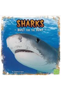 Sharks