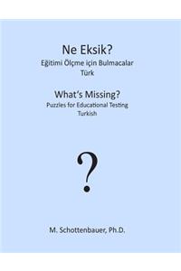 What's Missing? Puzzles for Educational Testing