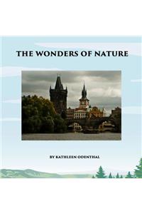 The Wonders of Nature