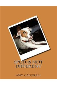 Spud is not different