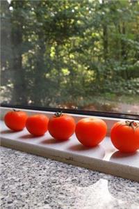 Red Ripe Tomatoes on the Windowsill Organic Produce Journal