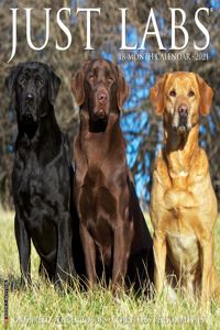 Just Labs 2021 Wall Calendar (Dog Breed Calendar)
