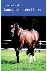 Concise Guide to Laminitis in the Horse