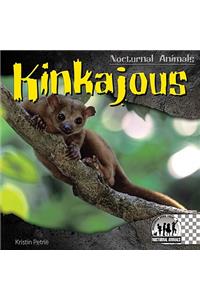 Kinkajous
