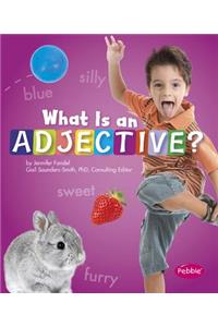 What Is an Adjective?