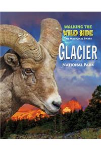 Glacier