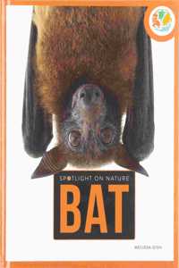 Bat