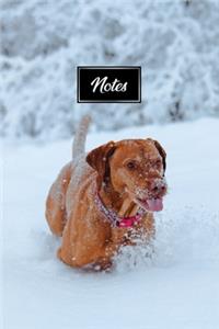 Vizsla Dog Pup Puppy Doggie Notebook Bullet Journal Diary Composition Book Notepad - Running Deep in Snow