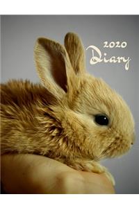 2020 Diary